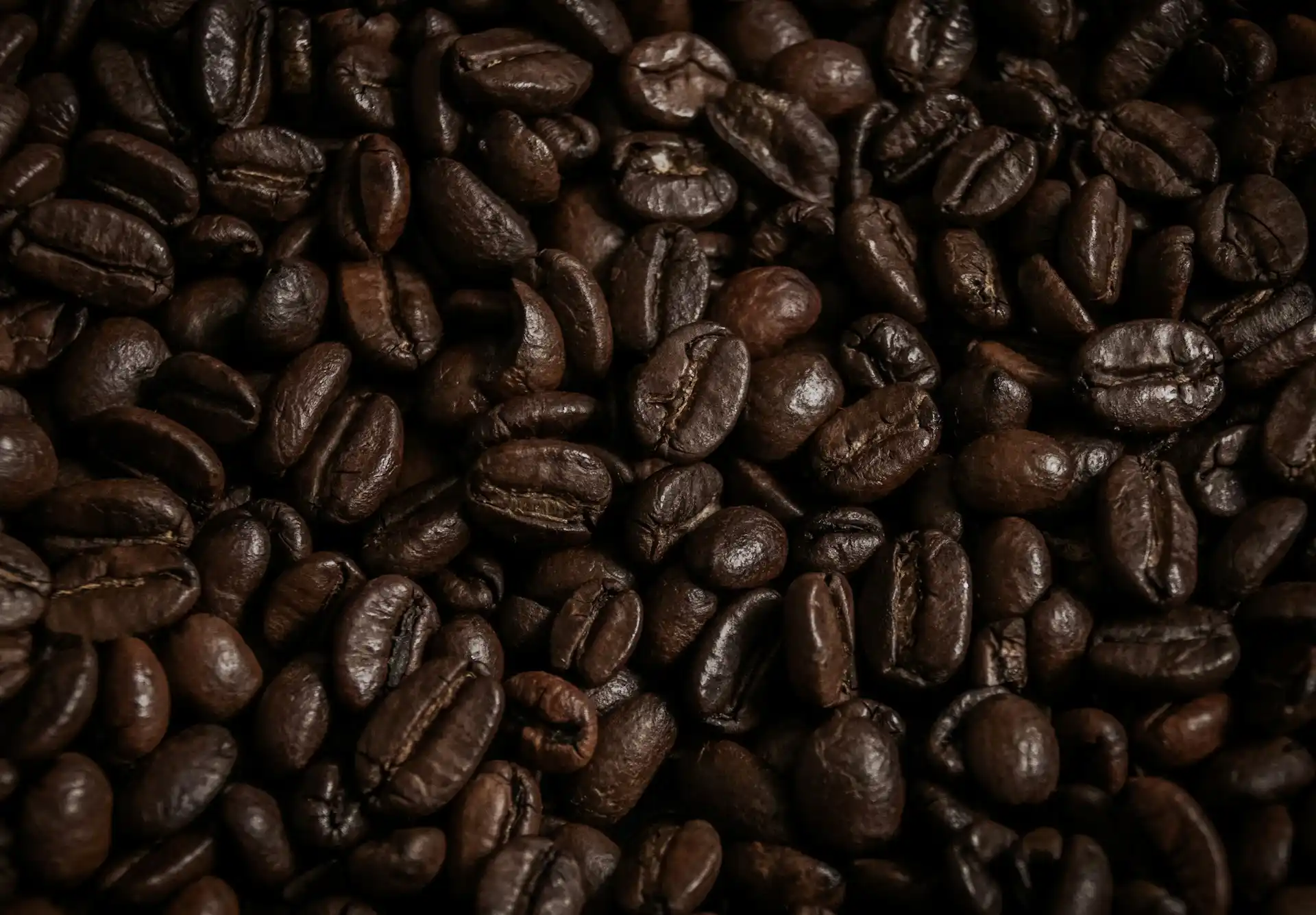 arabica coffee benefits