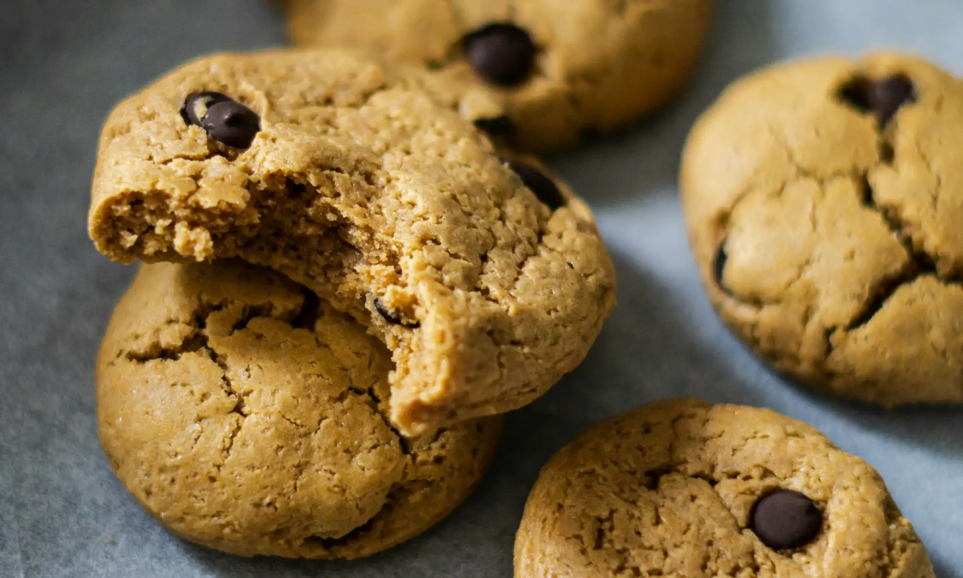 whey protein cookie recipe